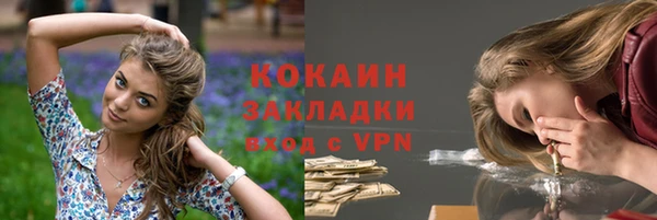 сатива Абаза