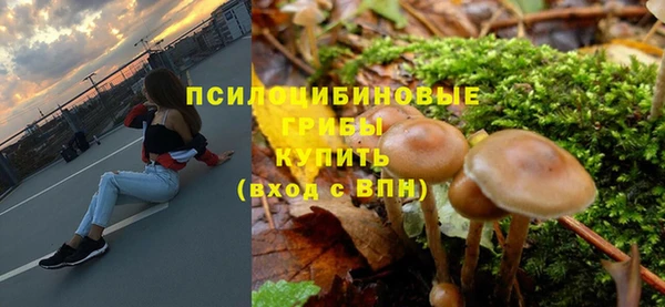 mdpv Няндома