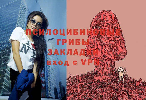 mdpv Няндома